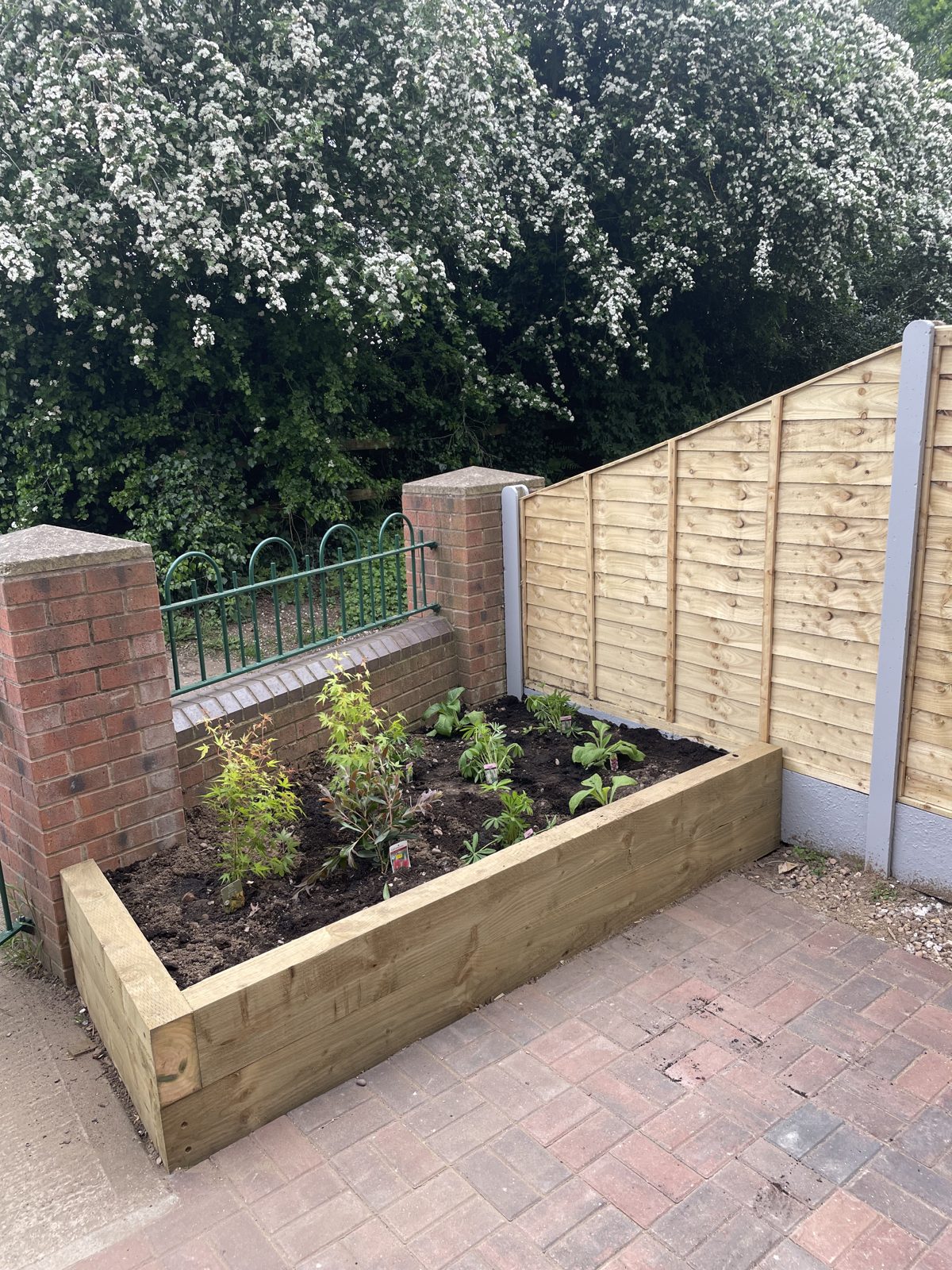 Raised sleeper planters against new fencing